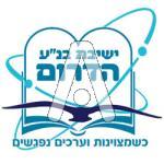 סמל כיס הדרום - חט"ב בנ"ע